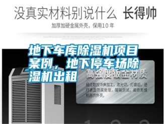 企業(yè)新聞地下車(chē)庫(kù)除濕機(jī)項(xiàng)目案例，地下停車(chē)場(chǎng)除濕機(jī)出租