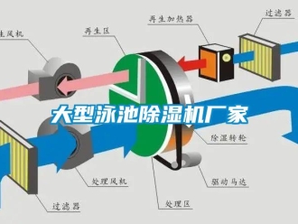 企業(yè)新聞大型泳池除濕機(jī)廠家