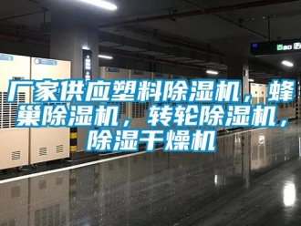 企業(yè)新聞廠家供應(yīng)塑料除濕機，蜂巢除濕機，轉(zhuǎn)輪除濕機，除濕干燥機