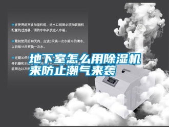 行業(yè)新聞地下室怎么用除濕機來防止潮氣來襲