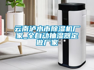 企業(yè)新聞云南瀘水市除濕機(jī)廠家_全自動(dòng)抽濕器定做廠家