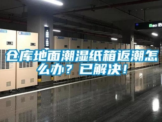 企業(yè)新聞倉庫地面潮濕紙箱返潮怎么辦？已解決！