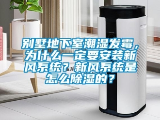 企業(yè)新聞別墅地下室潮濕發(fā)霉，為什么一定要安裝新風(fēng)系統(tǒng)？新風(fēng)系統(tǒng)是怎么除濕的？