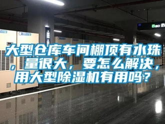 企業(yè)新聞大型倉庫車間棚頂有水珠，量很大，要怎么解決，用大型除濕機有用嗎？