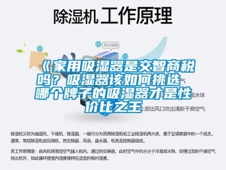 企業(yè)新聞《家用吸濕器是交智商稅嗎？吸濕器該如何挑選 哪個(gè)牌子的吸濕器才是性價(jià)比之王