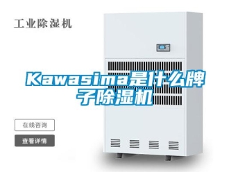 企業(yè)新聞Kawasima是什么牌子除濕機(jī)