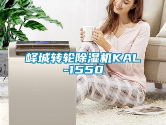 常見問題嶧城轉(zhuǎn)輪除濕機KAL-1550