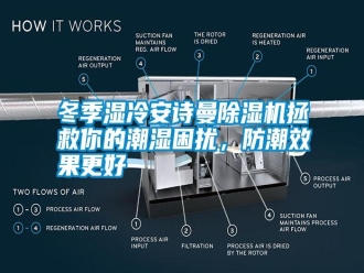 行業(yè)新聞冬季濕冷安詩曼除濕機拯救你的潮濕困擾，防潮效果更好