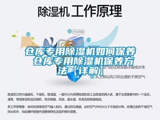 企業(yè)新聞倉庫專用除濕機如何保養(yǎng) 倉庫專用除濕機保養(yǎng)方法【詳解】