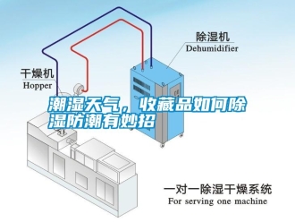 知識百科潮濕天氣，收藏品如何除濕防潮有妙招