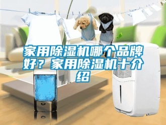 企業(yè)新聞家用除濕機(jī)哪個(gè)品牌好？家用除濕機(jī)十介紹