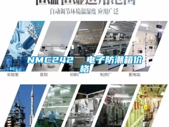 企業(yè)新聞NMC242  電子防潮箱價格